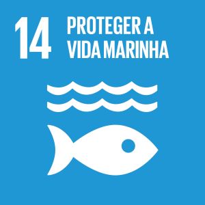 Objetivo de Desenvolvimento Sustentável 14 (Imagem: Reprodução/ Plataforma Agenda 2030)
